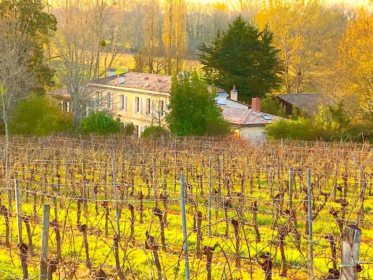 Vila Fabuleux - Domaine Du Moulin D'Andraut Bordeaux-Chevaux-Golf-St Emilion Montussan Exteriér fotografie