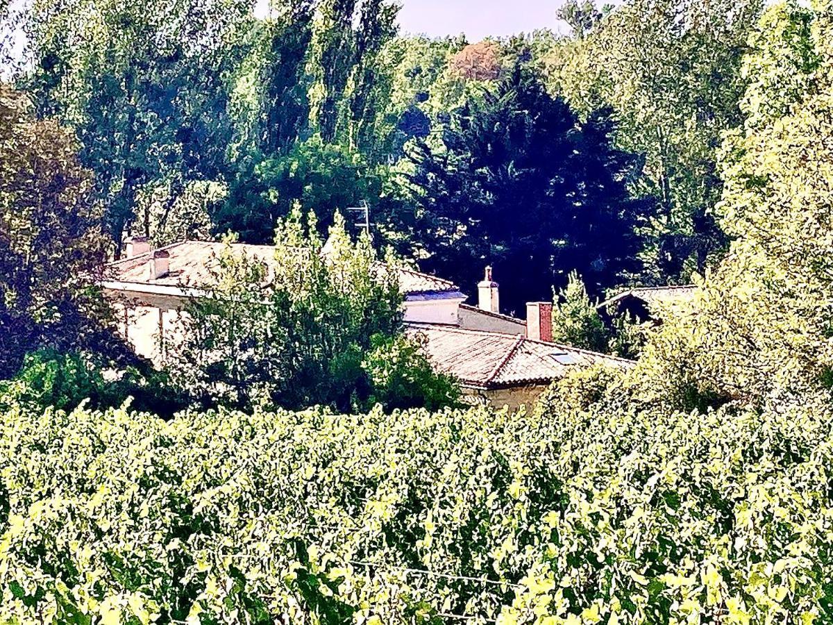 Vila Fabuleux - Domaine Du Moulin D'Andraut Bordeaux-Chevaux-Golf-St Emilion Montussan Exteriér fotografie